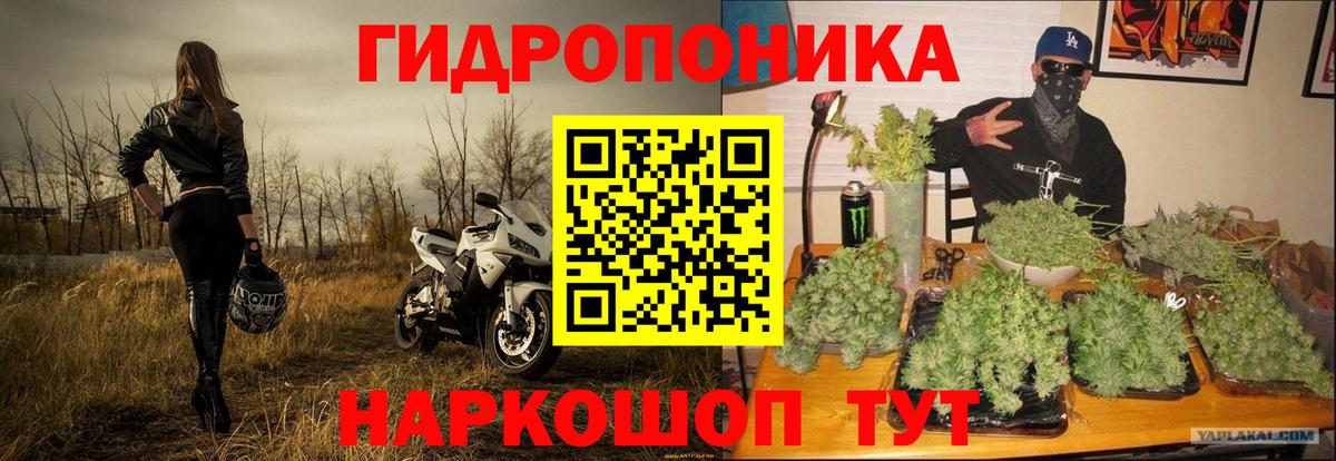 МАРИХУАНА VHQ  Конопля White Widow  Елец  Бошки марихуана сатива  Вход с VPN  Канабис THC 21% 